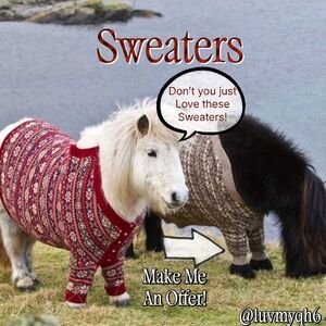 Sweater Divider